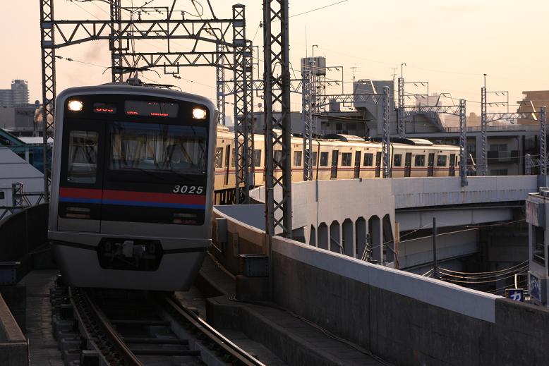 20100322-3025青砥